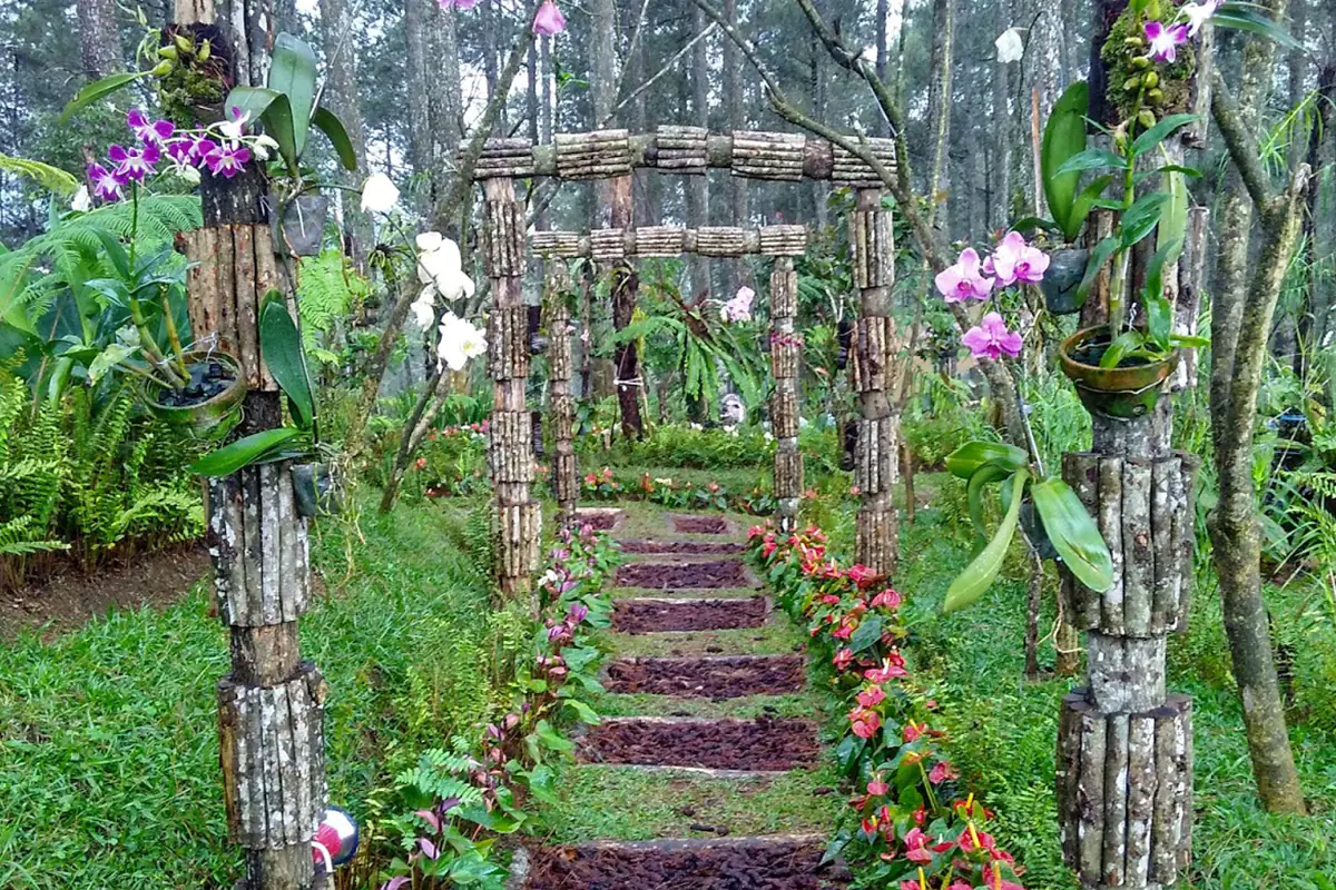 Bosque de orquídeas de Cikole, Indonesia